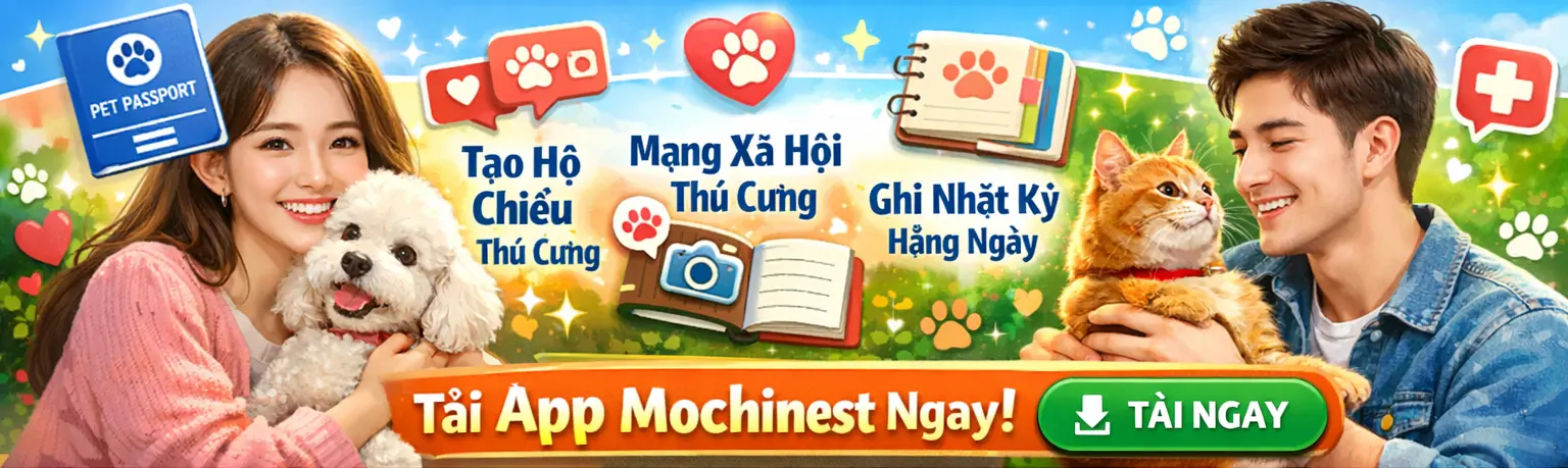 Quảng cáo